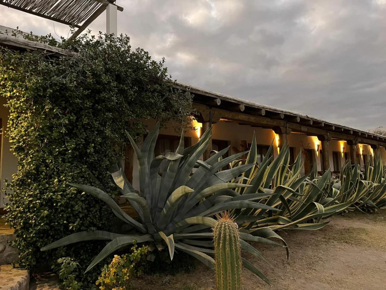 Hotel Texas Cafayate Exteriér fotografie